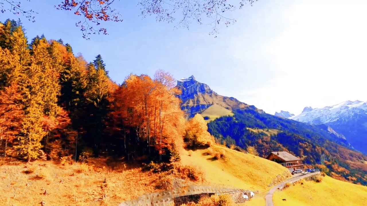 Music for Deep Sleep Healing Stress, Anxiety and Depressive States