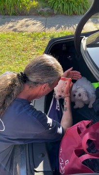 Dad Gets Emotional When Surprised With Two New Puppies