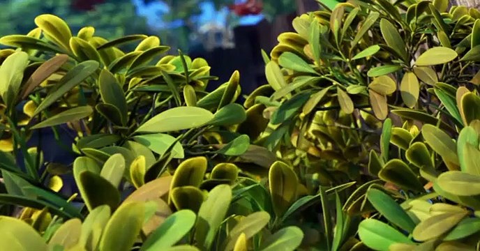 Dug Days Dug Days E005 Science