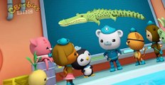 The Octonauts The Octonauts S02 E020 – The Saltwater Crocodile