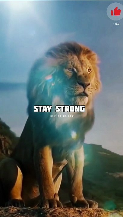 Sigma rule  MOTIVATION VIDEO #shorts #motivation #trending