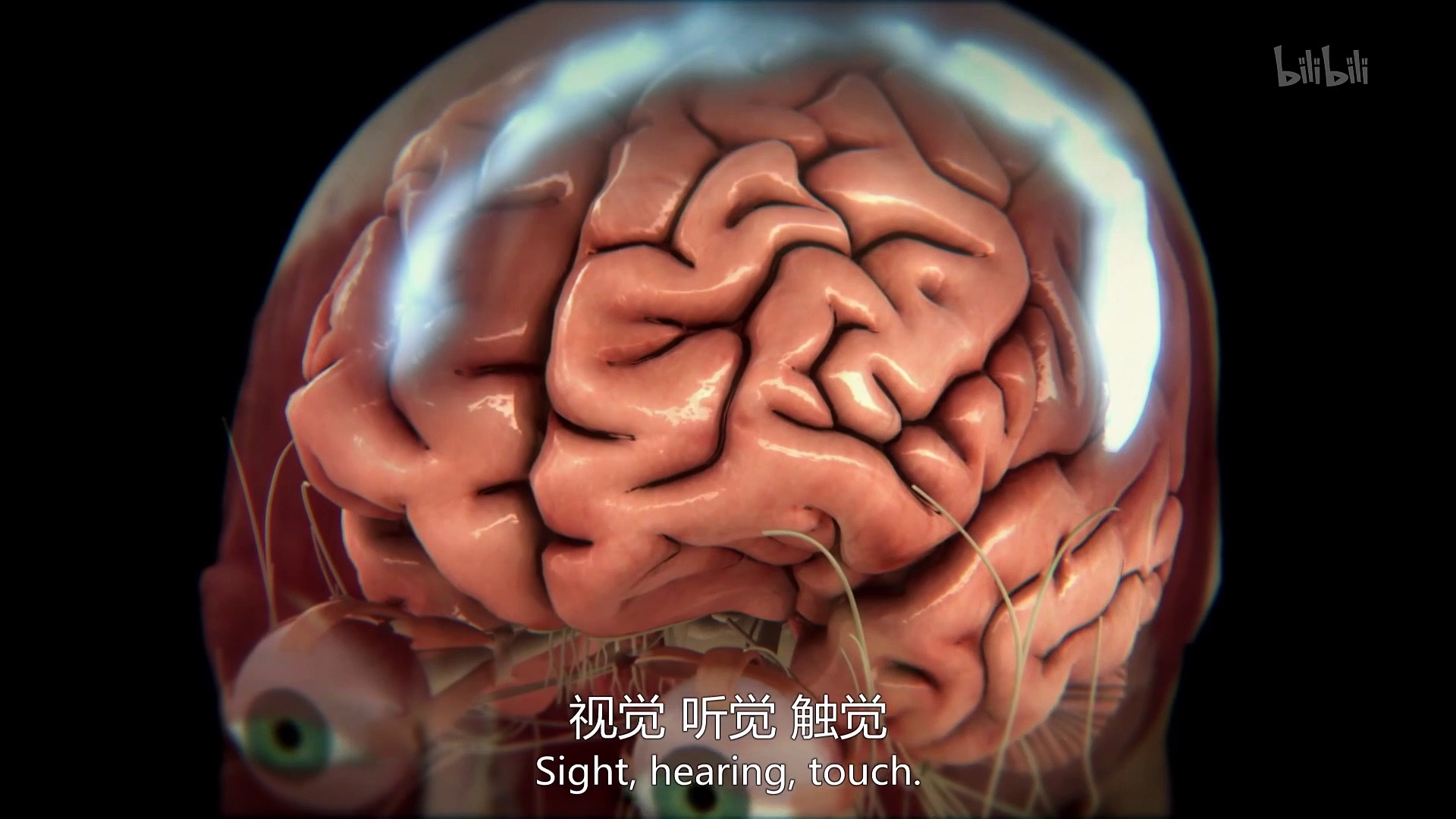 Human Body Pushing The Limits