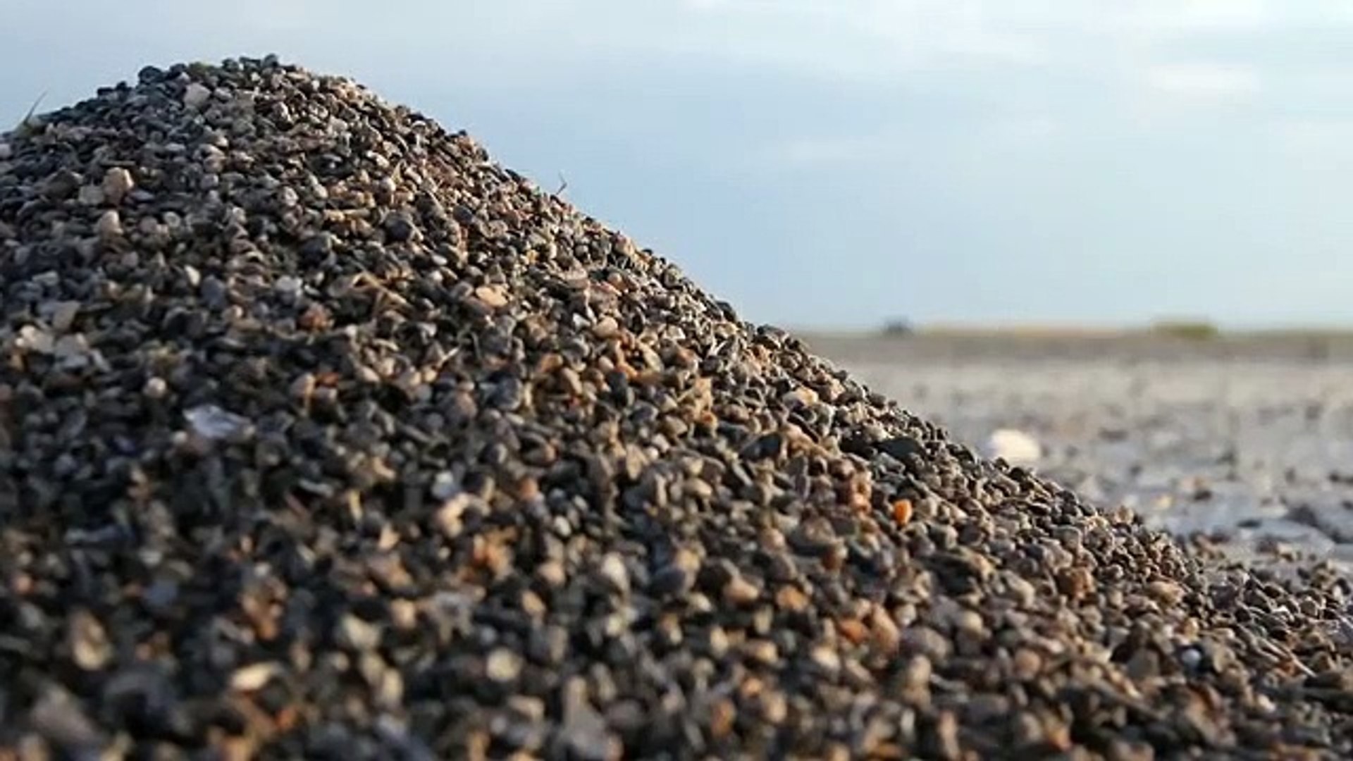 Elon Musk on Artificial Intelligence Implications and Consequences