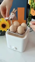 New Gadgets home use eggs making