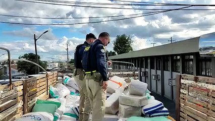 Tải video: Caminhão de Foz do Iguaçu é apreendido transportando 394 quilos de maconha