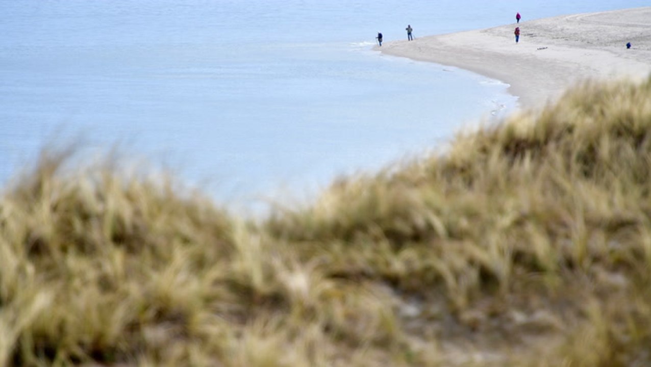 „nord nord mord“: das sind die dehorte