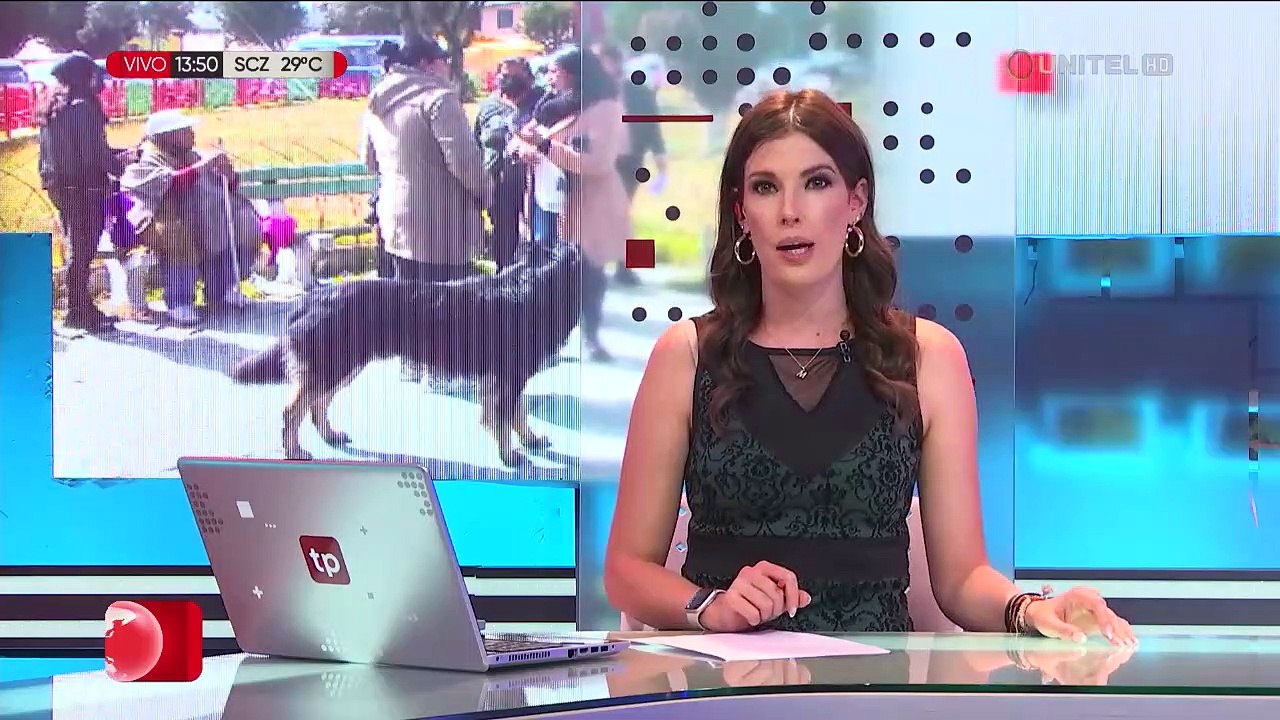 Matan a puñaladas a una mascota y dejan el cuerpo en una plaza de El Alto