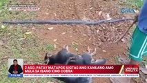 2 aso, patay matapos iligtas ang kanilang amo mula sa isang king cobra | UB