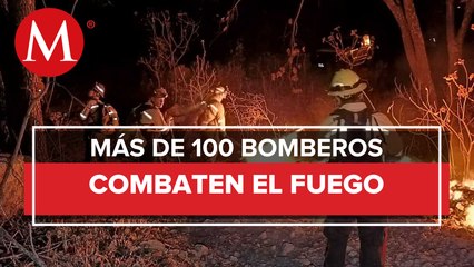 Está bajo control el incendio en el Bosque de La Primavera en Zapopan
