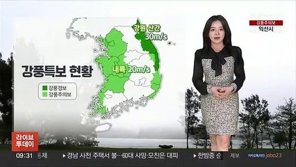 下载视频: [날씨] 전국 강풍 동반 비…황사 영향 흙비 가능성