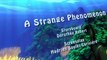 H2O: Mermaid Adventures H2O: Mermaid Adventures E018 A Strange Phenomenon