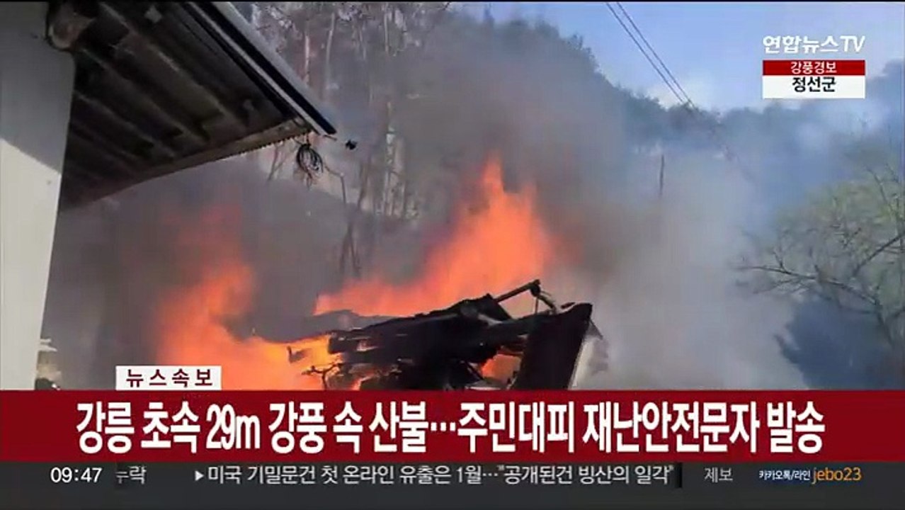[속보] 강릉 초속 29m 강풍 속 산불…주민대피 재난안전문자 발송