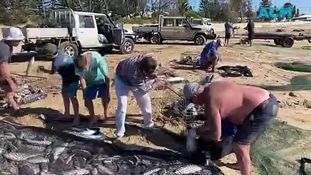 Fish netted off this Newcastle beach | Newcastle Herald | April 11, 2023