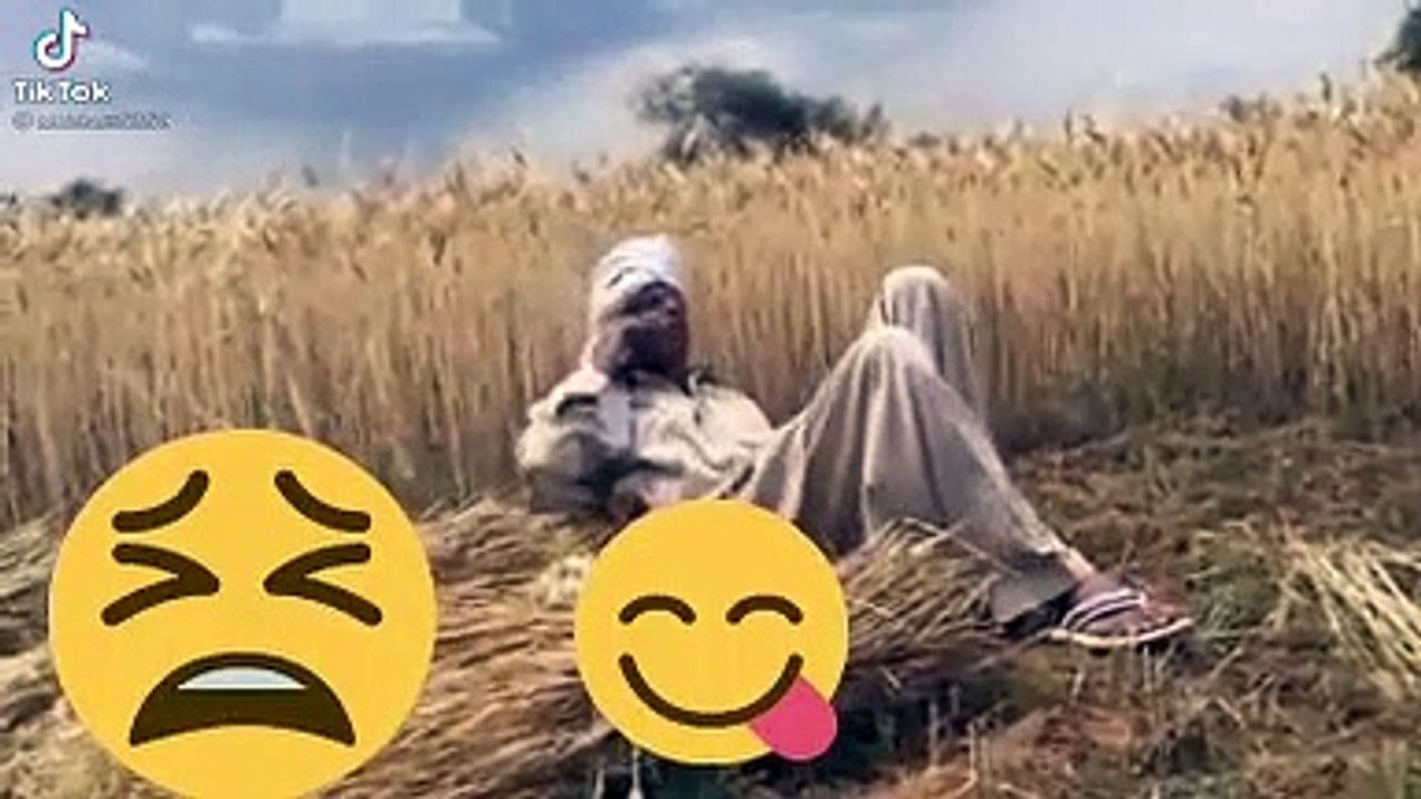 Most funny video clip 