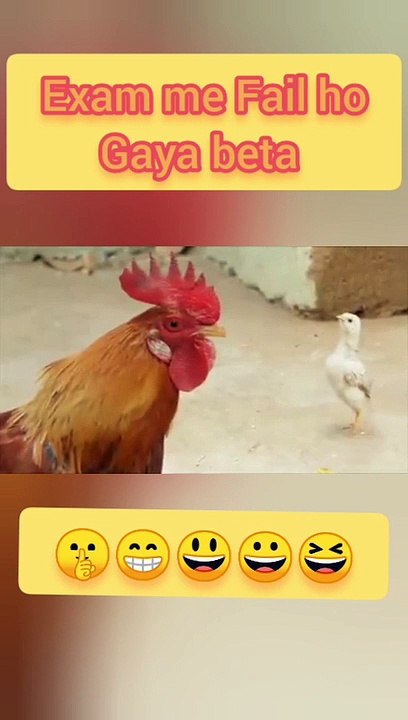 Just funny moment