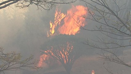 [날씨] 봄 강풍에 양간지풍 겹쳤다...초속 20∼30m 돌풍 / YTN