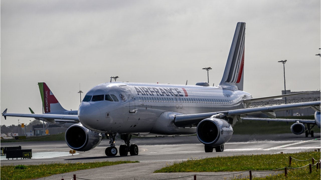 Air France : la note va être très salée désormais pour transporter un animal