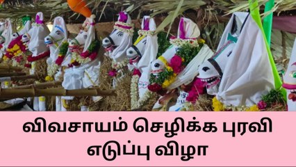 புரவிகளுக்கு காணிக்கை வழங்கும் வினோத வழிபாடு !