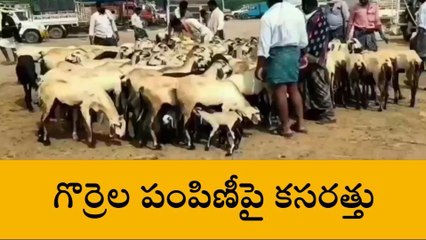 వికారాబాద్: రెండో విడతలో యూనిట్‌కు రూ.1.75 లక్షలు