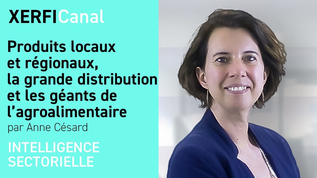 Produits locaux et régionaux, la grande distribution et les géants de l’agroalimentaire [Anne Césard]