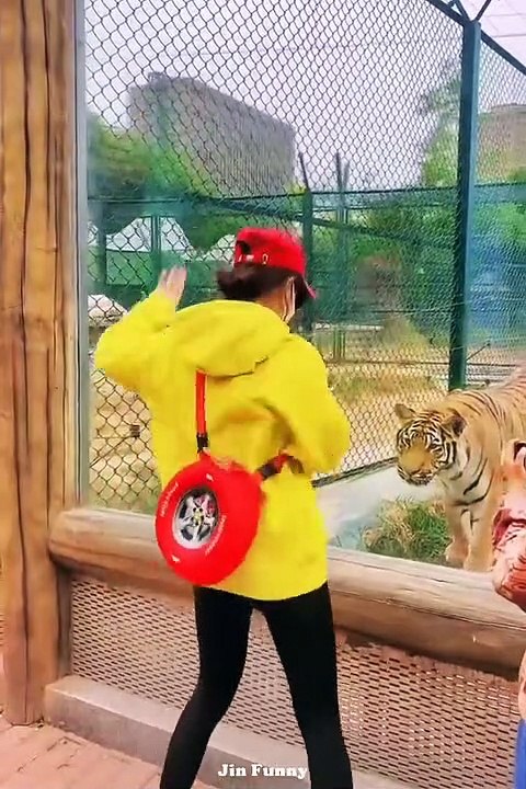 97.AWW NEW FUNNY  Funny Videos #295