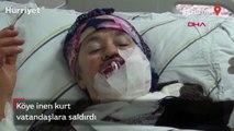 Erzurum'da köye inen kurt vatandaşlara saldırdı