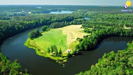 Stress Relief Music for a Calm and Focused Mind