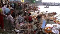 Idol immersion polluting Yamuna river