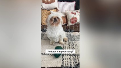 Dog sounds like clickers from "The Last of Us" when asking for treats