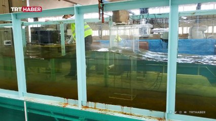 Türkiye’nin denizlerdeki enerji potansiyeli: Dalga enerjisi