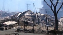 شاهد: حريق غابات في كوريا الجنوبية يجبر المئات على الفرار