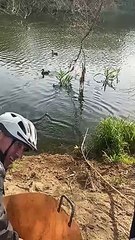 Rescate de patos en Sant Adrià de Besòs