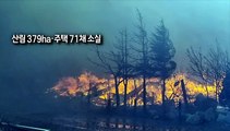 [사진구성] 경포 덮친 강릉 산불…8시간 만에 주불 진화 外