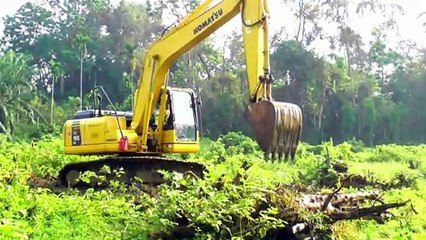 Creating the Best Soccer Field: Excavator Journey || pc 195 lc