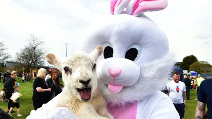 Easter weekend fun in Falkirk