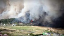 [영상구성] 민가 덮친 강릉 초대형 산불, 8시간 만에 주불 진화
