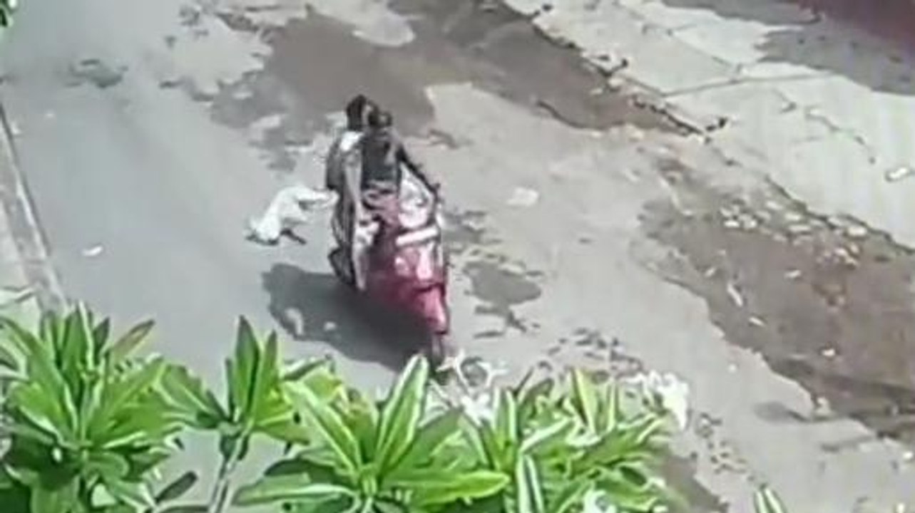 मृत कुत्ते को वाहन से घसीटते ले जाते हुए वीडियो हुआ सोशल मीडिया पर वायरल