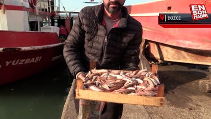 Akçakoca ve Amasra, balık sezonuna erken veda etti