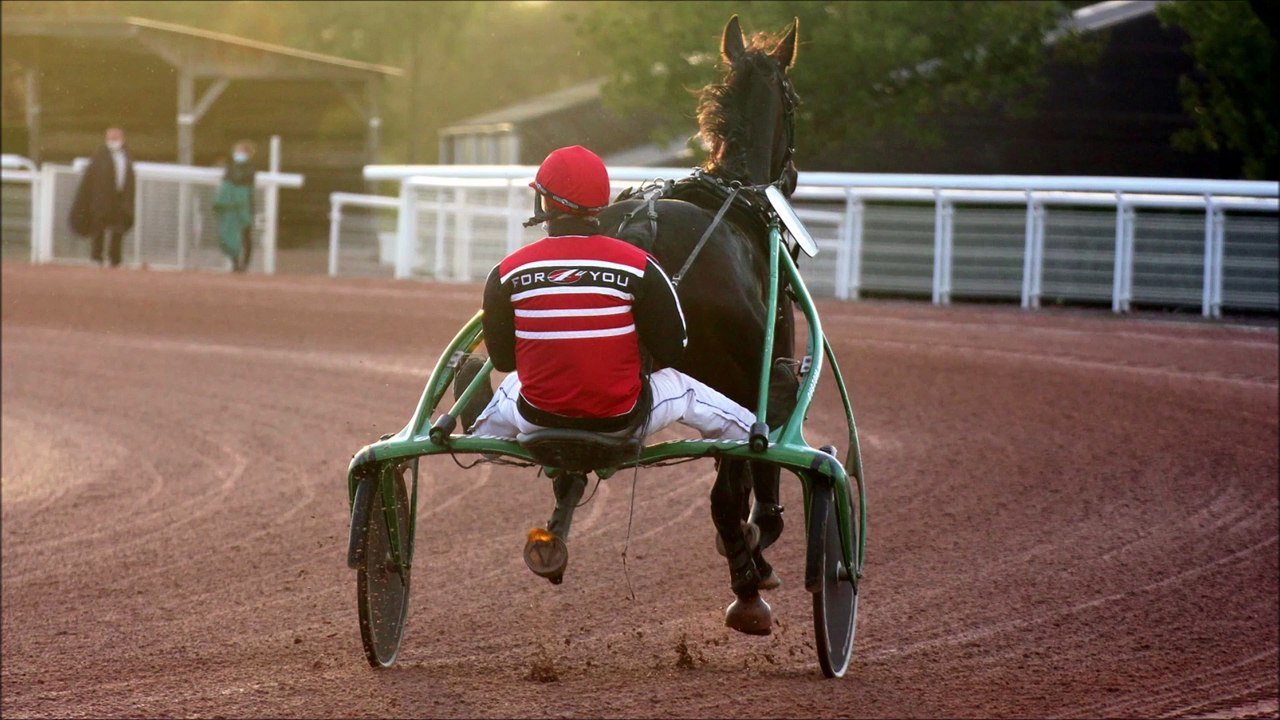 Pronostic de Fréquence Turf pour le Quinté PMU du mercredi 12 avril 2023 (Réunion n°1 - Course n°1)