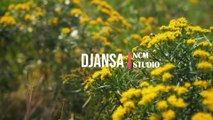 Djansa - The Mini Vandals featuring Mamadou Koita and Lasso: Reggae Music, Funky Music, Tribal Music