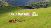 Fanta Mankane - The Mini Vandals featuring Mamadou Koita and Lasso: Reggae Music, Happy Music, Tribal Music