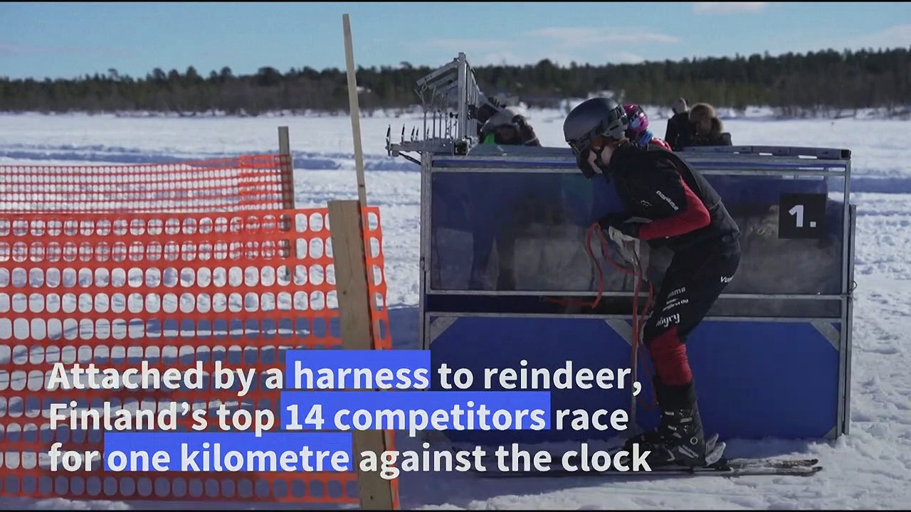 Finnish town of Inari crowns its reindeer racing champion