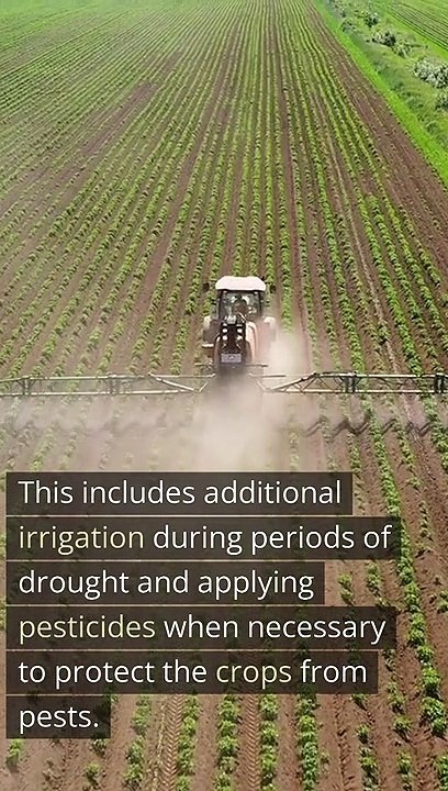 Facts about Farming. Facts about Agreculture. How does farmers work. Farming #viralreels #facebookreels #viralpage #DonaldTrump #facts #eid23 #village #English #india #Pakistan #agriculture #agricultureandfarming #agricultureworldwide