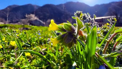 This is how We Stuff the Stomach in the Village of Azerbaijan! We cook and Live in the Mountains