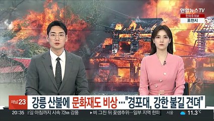 강릉 산불에 문화재도 비상…"경포대, 강한 불길 견뎌"
