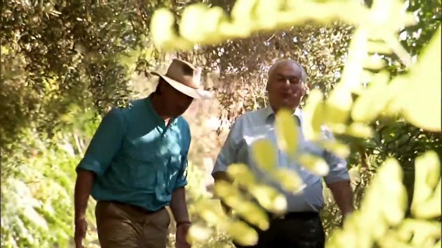 Sunken Artifacts From Atlantis Recovered Digging For The Truth (S3, E1) Part 1