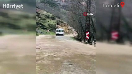 Tunceli’de yoğun yağış nedeniyle Munzur çayı taştı, yol ulaşıma kapandı