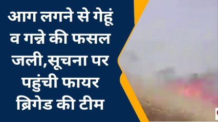 बस्ती: आग ने मचाया तांडव, गन्ने व गेहूं की फसल जली