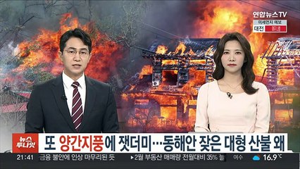 또 '양간지풍'에 잿더미…동해안 잦은 대형산불 왜