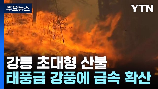 태풍급 강풍에 산불 급속 확산...올해 첫 소방 대응 3단계 / YTN
